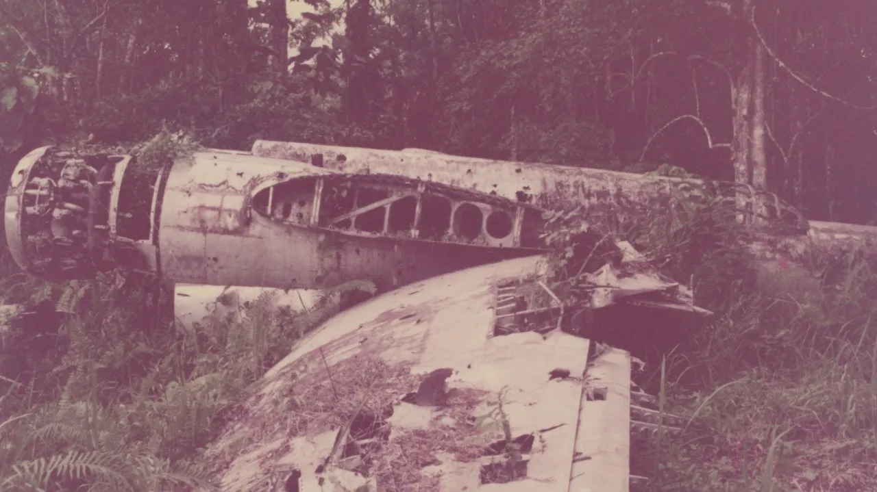 WWII aircraft wreckage in Papua New Guinea.